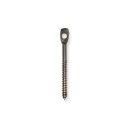 W300CSS 3" 316 Stainless Steel Eye Lag Screw for Wood