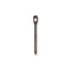 W300CSS 3" 316 Stainless Steel Eye Lag Screw for Wood